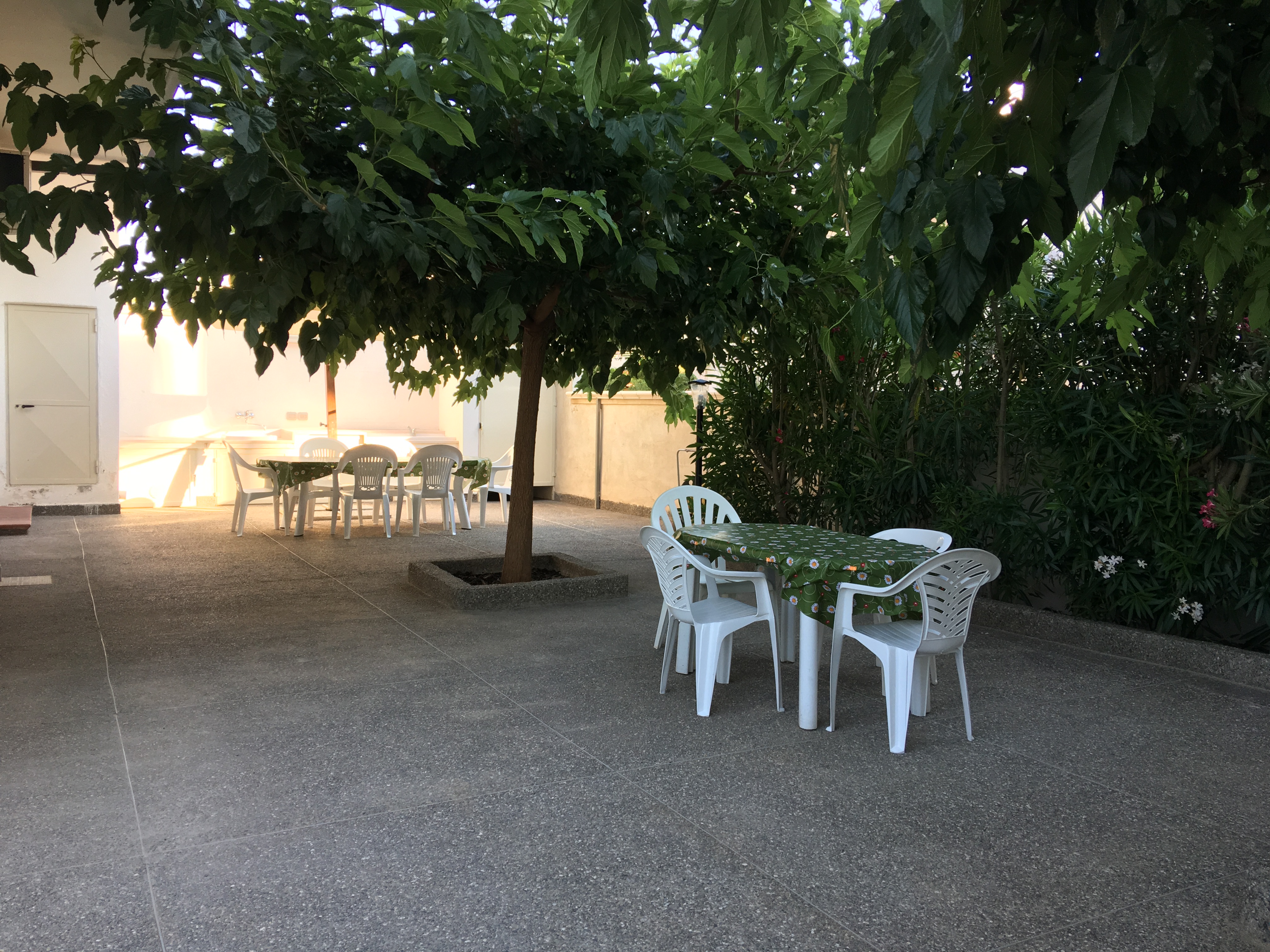 https://www.gallipoliapp.it/images/1743427141.jpg